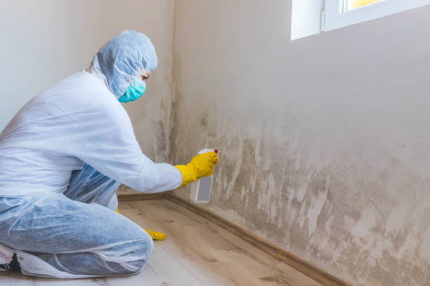 Licensed Mold Testing service in Parsippany, NJ - WQB Mold Removal