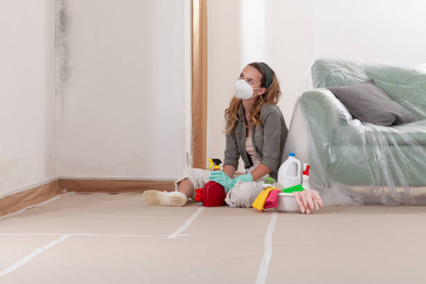 Reliable Mold Testing contractor in Parsippany, NJ by WQB Mold Removal